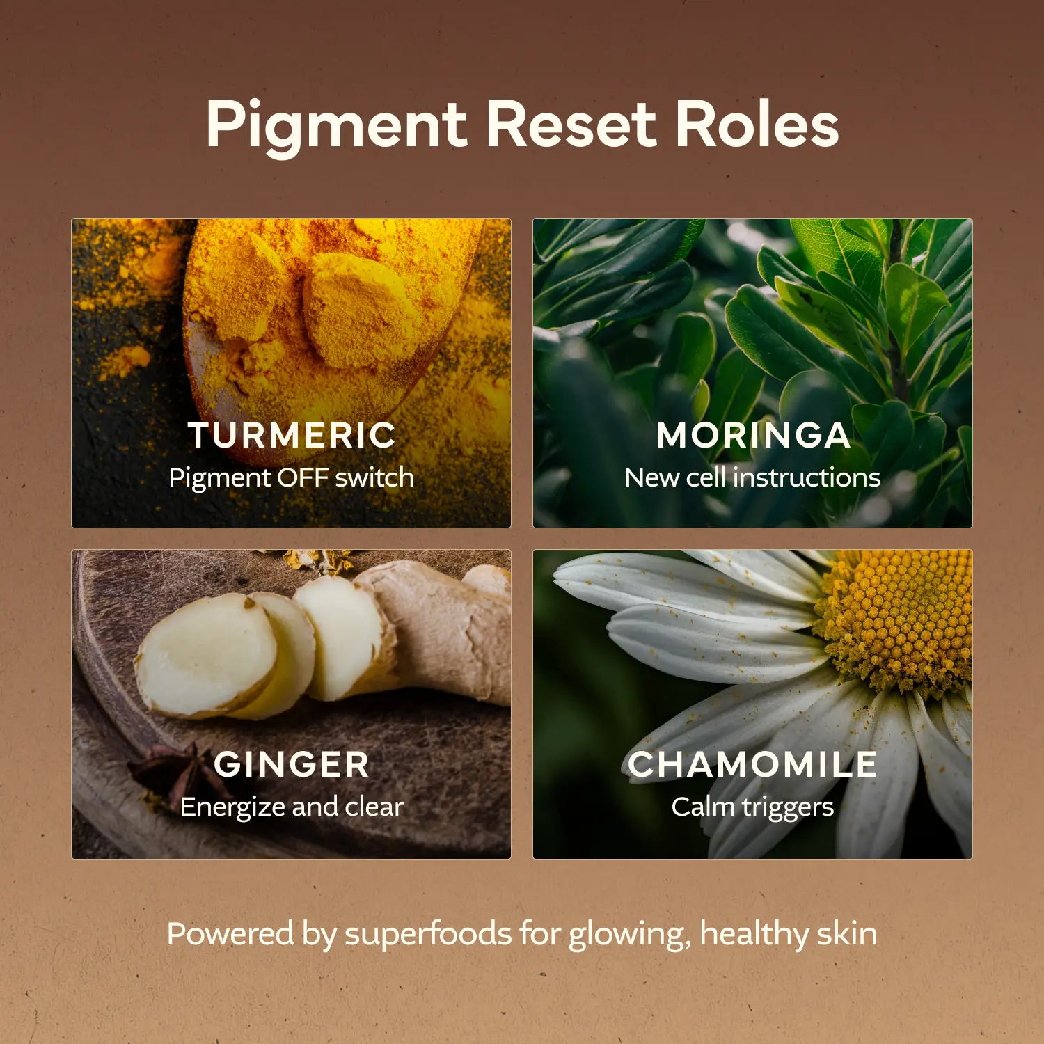 Pasnida's Body Scrub Slide 3